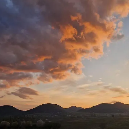 Atemberaubender Ausblick Landau in der Pfalz