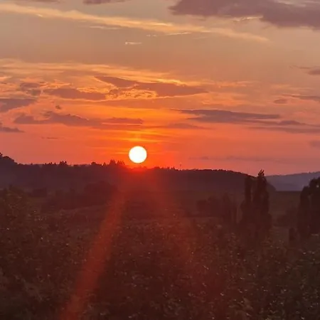 Atemberaubender Ausblick Apartment *