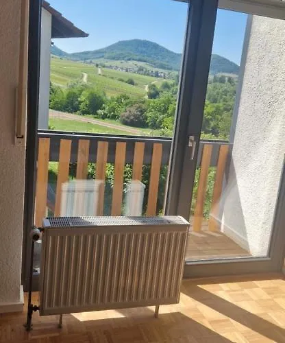 Atemberaubender Ausblick 公寓 朗道因德普法尔茨